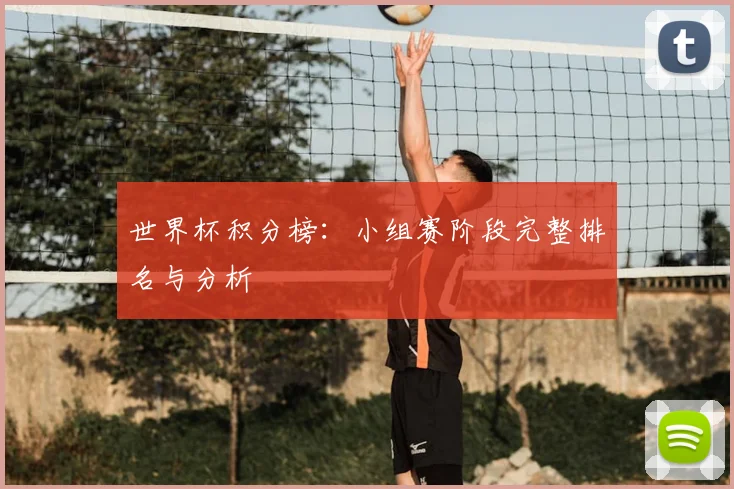 世界杯积分榜：小组赛阶段完整排名与分析